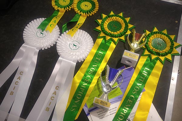 Medale Rozety oraz Puchary za zwycięztwa na wystawach psów rasowych.